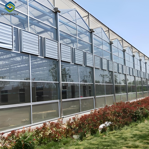 Agricultural intelligent Glass Greenhouse vegetables flowers PC board greenhouse Venlo style