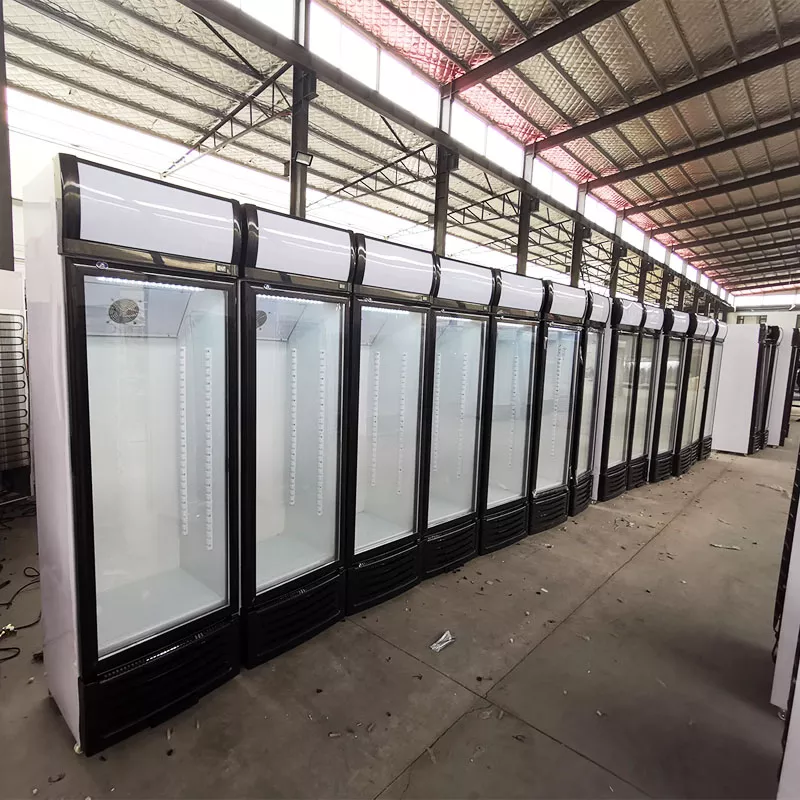 R134A Upright Display Freezer , 300L Vertical Refrigerator Display