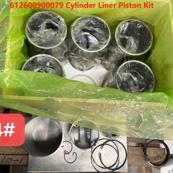 Cylinder Liner 612600900079 WEICHAI Engine Parts Piston Ring Piston Pin WP10