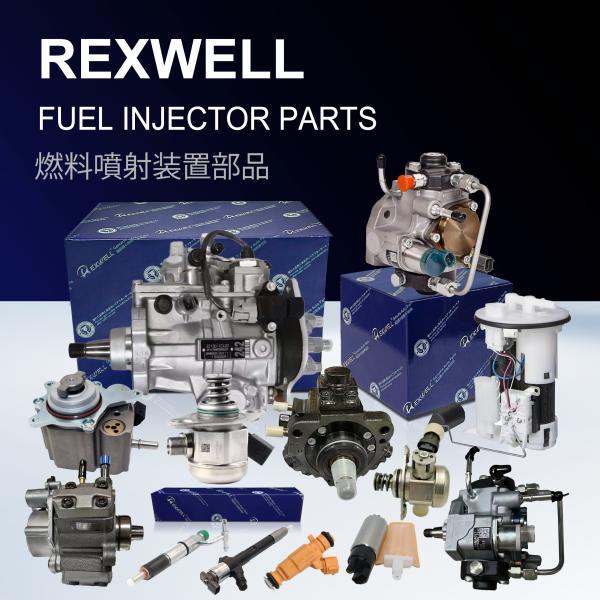 High Pressure Fuel Pump for Peugeot 308 9819938480 1675941280 1671940680