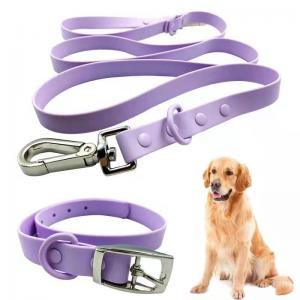 China Amazon hot sale anti-fouling and waterproof PVC dog collar and leash set for pets walking outdoors on sale