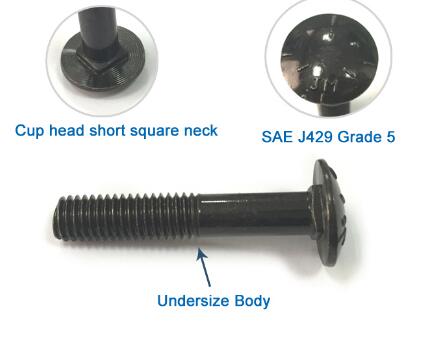 Oxidable Din603 Round Head Black Carriage Bolt Spring Lock Washer Stainless Steel Material