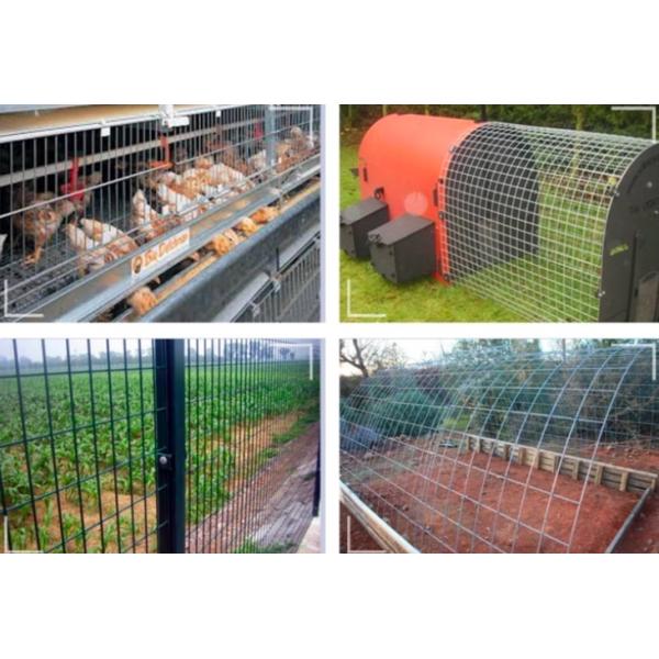 18 Gauge Welded Metal Wire Mesh Hot Dipped Galvanized 19mm X 19mm