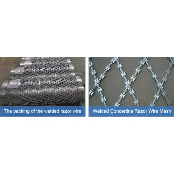 Factory Supplied Concertina Hot Dipped Galvanized Razor Blade Wire BTO-16 For Ukraine Border Protection Fence