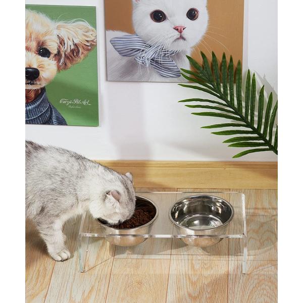 Acrylic Elevated Dog And Cat Pet Feeder with 2 Set Removable Food and Water Bowls
