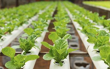 Customized White PVC Pipe Vinyl Fence Post for Your Construction Project