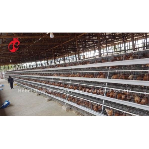 High Rearing Efficiency For Chicken Farm Poultry Farming Cage System Sandy