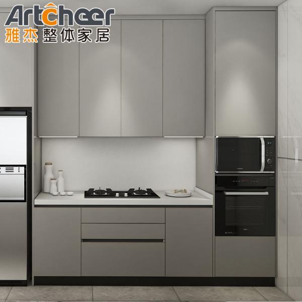 Outdoor BBQ Design Lacquer Kitchen Cabinet Kitchen Furniture with Sofa Close Hinges