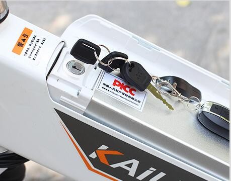 Small 6061 Aluminum Alloy 200w 24 Inch Wheel Electric Bike