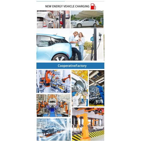 Chinese Mini EV Cars 2 seater Small Electric Vehicles Affordable