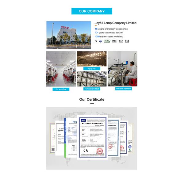 12V 24V IP65 Aluminium 6W 3000k Led Spike Garden Light Outdoor Landscape Spot Lawn Light