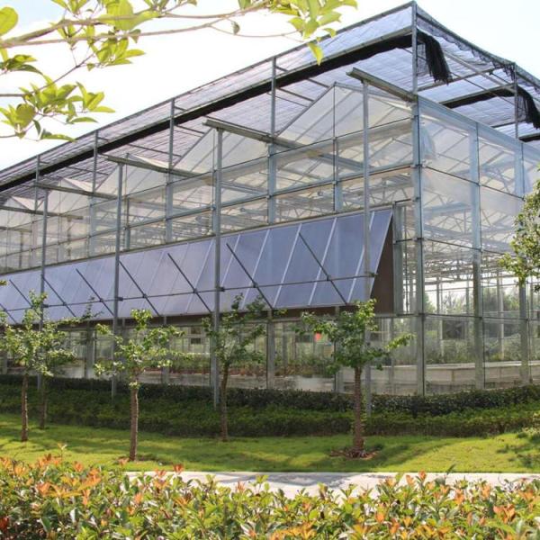 Flower Vegetable Growing High Venlo Tempered Glass Greenhouse with Hydroponic System