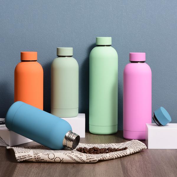 Travel Stainless Steel Double Wall Insulated Vacuum Bottle With Cap Water Bottles