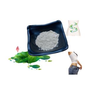 Buy cheap Stable Natural Lotus Leaf Extract Powder Nuciferine 50% Anti Obesity from wholesalers