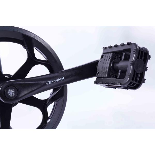 Black 20 Inch Electric Bike , Brushless Motor 36v Fat Wheel Electric Bike