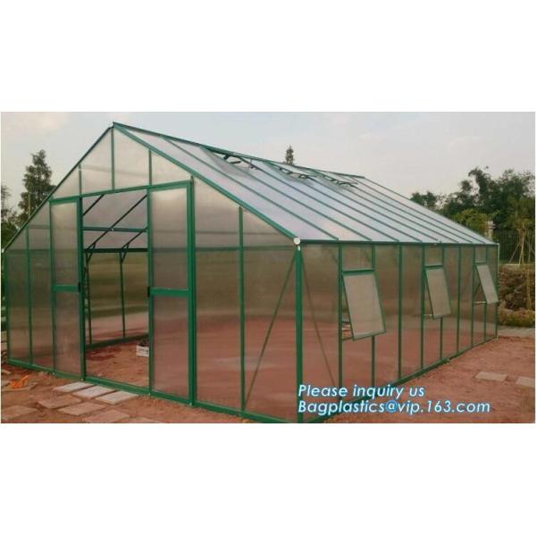 PE protective film customized green house for agriculture anti frost,Venlo Glass Agricultural Green house, SUPPLIES, PAC