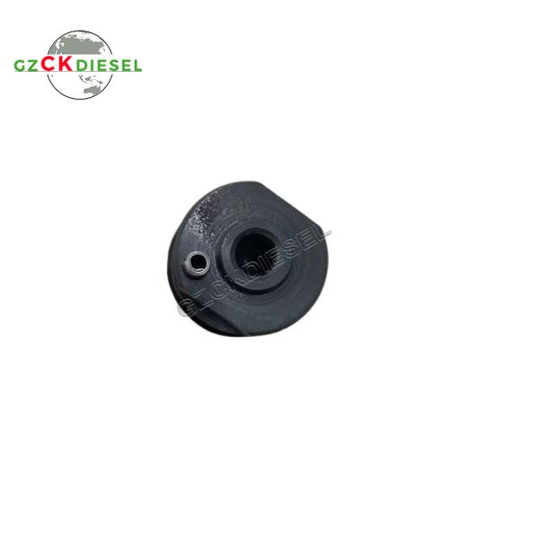 OEM Diesel Fuel Injector A0020102551 A0060172221 A0050177721 A0040176521