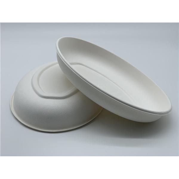 10/12 inch Biodegradable Sugarcane Bagasse Plates