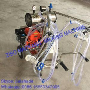 Quality Gasoline-Vacuum Pump Dual-Typed Single Bucket Portable Milking Machine,Double Motor for cow and goat,easy handle machine wholesale