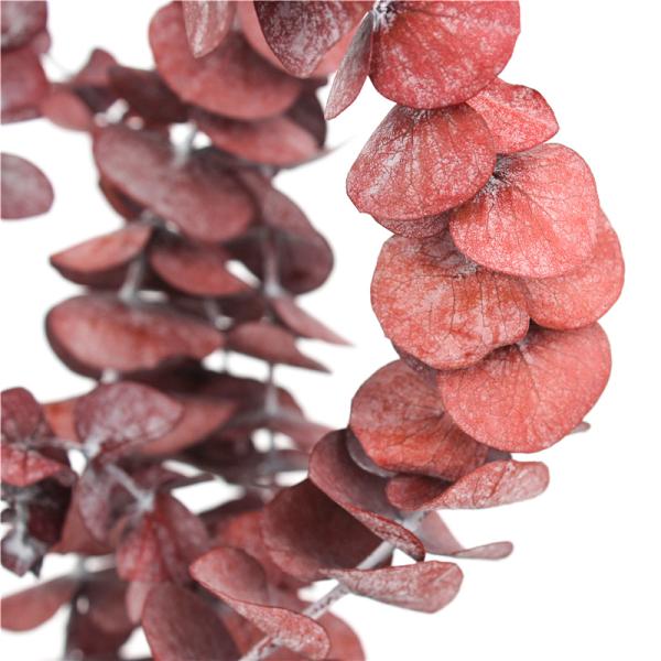 Customized Natural Preserved Foliage For Gift / Wedding / Home / Shop