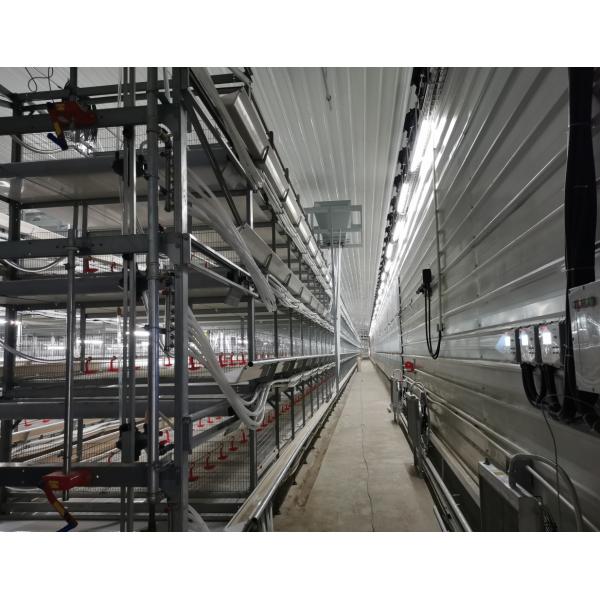 Q235B Galvanized Steel Poultry House with Bolted Connection