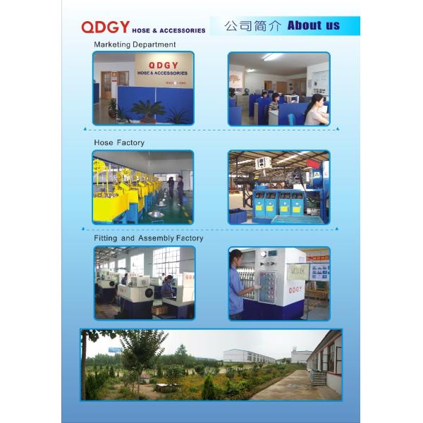 DOT SAE J1401 steel crimped Eye fitting for brake hose