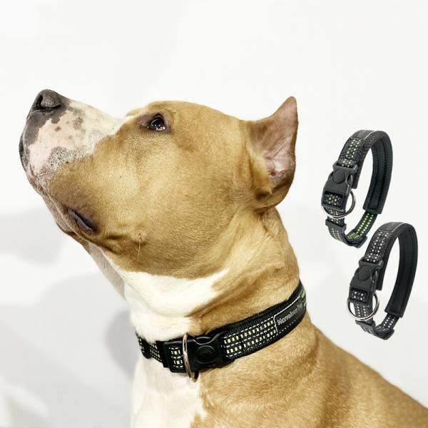 Black Flashing Luminous Dog Collar Custom S M L LED Light Up Dog Collar