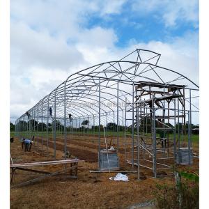 150 Micron Single Span Greenhouse Plastic Film Greenhouse Natural Ventilation