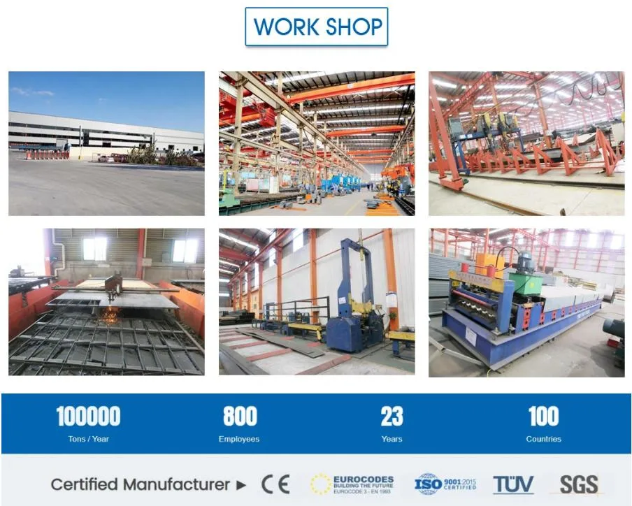 CE Livestock Farm House Steel Structure Chicken House And Equipment For Chicken