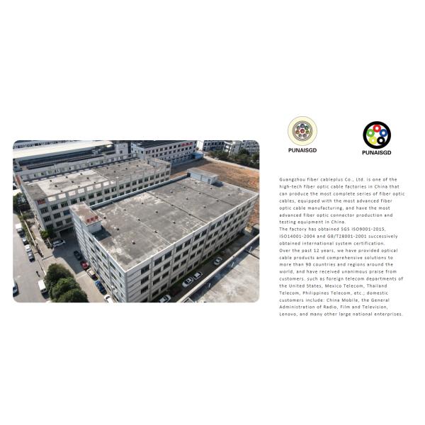 2 / 4 / 6 / 8 / 12 / 16 / 24 Core Single Mode Multimode Outdoor Armoured GYXTW Fiber Optic Cable