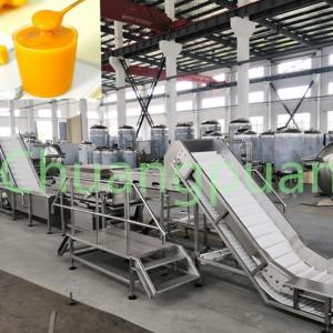 Quality 380V 410V 20KW Mango Pulp Making Machine Stainless Steel wholesale