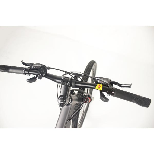 Adult 2 Wheel Womens 20 Inch Mountain Bike Full Suspension