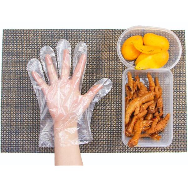 PE Disposable Plastic Glovese For Hand Care Isolation Cooking Rainwater Isolation