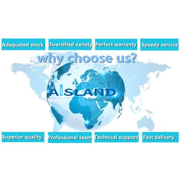 K3V112DT Advanced Technical Hydraulic Piston Shoe for Excavator