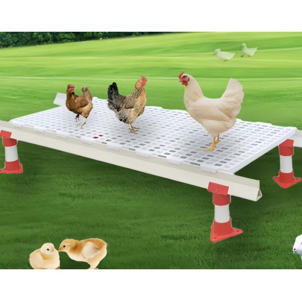 Steel Poultry Slat Flooring , Plastic Slatted Floor For Chicken