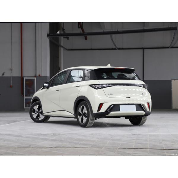 2023 BYD Dolphin Electric Car 420km Free Version Bluetooth Connectivity
