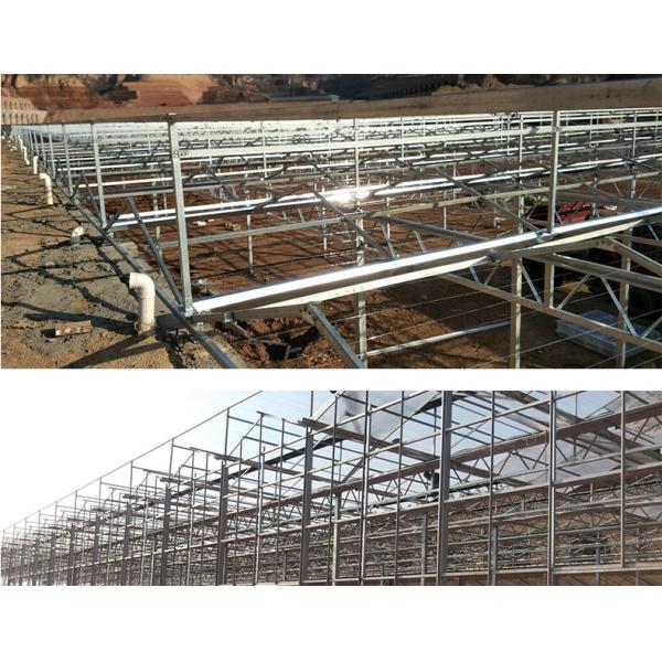 Large Glass Covered Garden Greenhouses for Versatile Planting Options