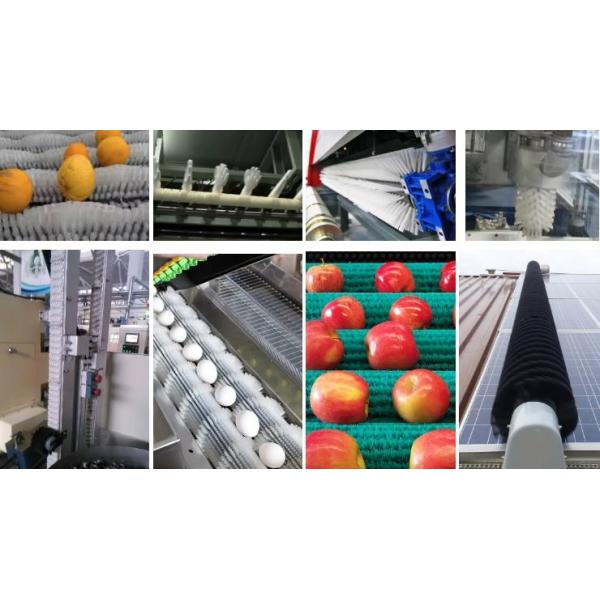 Nylon Cylinder Roller Brush Zig Zag Modular Segment Brush For Food Industry