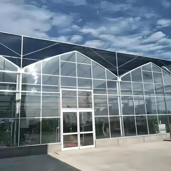 Polycarbonate Greenhouse for Strawberry Substrate Culture Customized