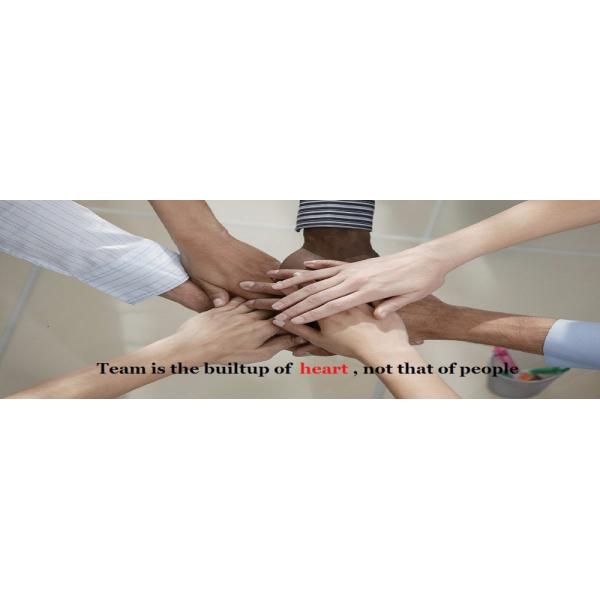 High Tensile Carbon Steel Double End Threaded Stud Bolts in Customized Size for Industrial