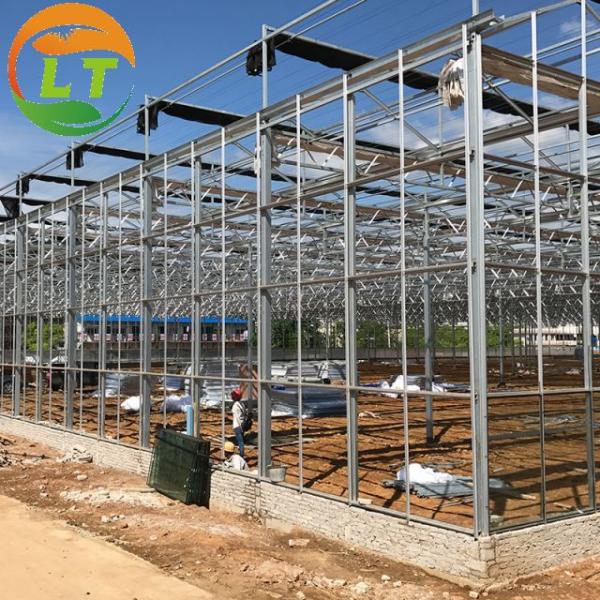 Multi-span Glass Greenhouse Agricultural Instruction with Super Strong Resistance