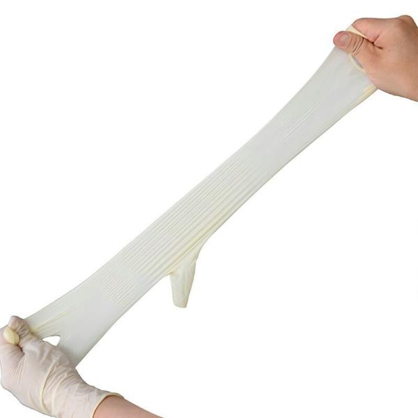 soft Touch XL Latex Examination Gloves