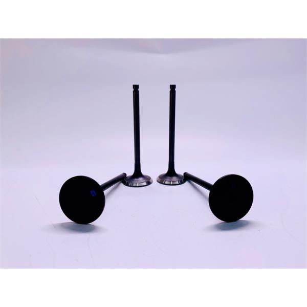 KOMATSU 6D102 Cylinder Exhaust Valve 4995554 4994143 Corrosion Resistant