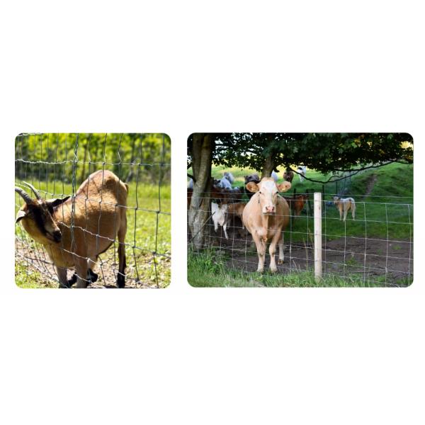 The Inner Wire Is 1.8Mm Farm Fence / Cattle Fence Netting / Grassland Fence Farm Fence Manufacturers Direct Selling