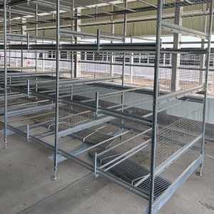 Quality 24.5'' Width Battery Cage System For Layers Broiler Pullet H Type wholesale