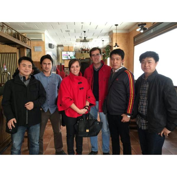 Qsm11 Ism11 M11 Cummins Diesel Injection Pumps 3090942 3417674 4954876 4954877