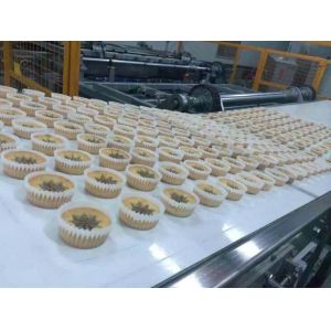 Cupcake Cake Production Line Automated Grout Injector And Coating Machine