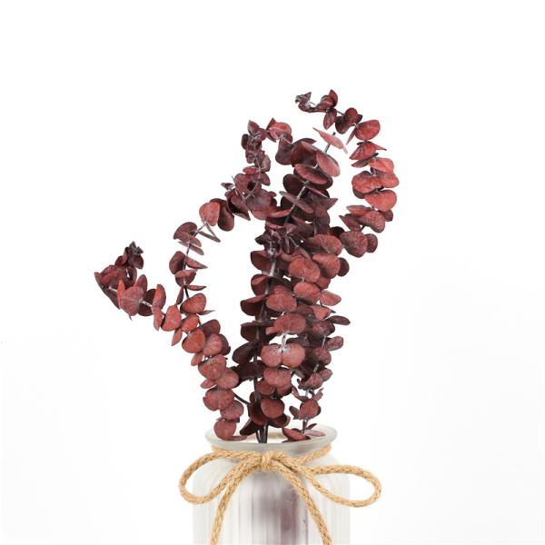 Customized Natural Preserved Foliage For Gift / Wedding / Home / Shop