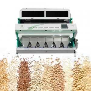 Quality CCD Grain Sorting Machine With 12 Inch Humanized Touch Screen wholesale