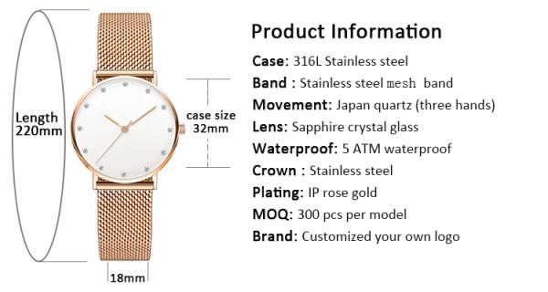 OEM Design Luxury Stainless Steel Case Watch